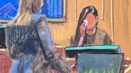 Sean ‘Diddy’ Combs and his victim hired porn stars for ‘freak-offs,’ flew them cross-country, she says — and reveals how much they got paid