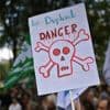 Loi Duplomb : six questions sur la pétition qui bat des records