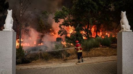 Firefighter dies in Portugal after fire engine plunges into ravine on call out