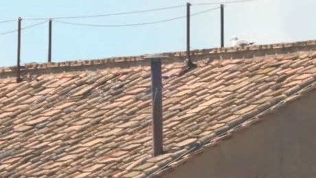 Sigue al minuto el vídeo de la chimenea del Vaticano para saber si esta tarde habrá por fin nuevo Papa