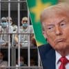 Trump deporteert verder, maar steun voor immigratie was nooit groter in zijn Amerika