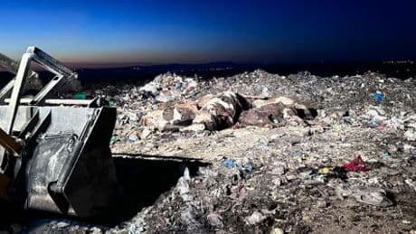 Rinderexport in die Türkei: Die Höllenfahrt der Kuh DE1406717219