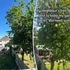 Warring neighbours spend ten years feuding over a tree that blocks the sun out of one's garden... So, who do YOU think is in the right?