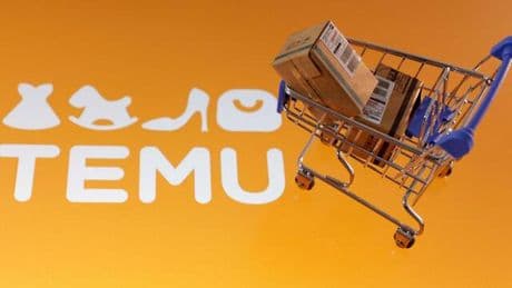 Paketflut eindämmen: EU-Kommission erwägt bis zu zwei Euro Abgabe für Temu-Pakete