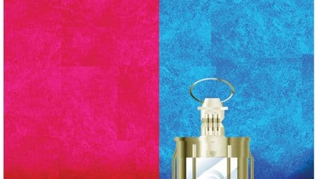 Highly selective profiles in political courage