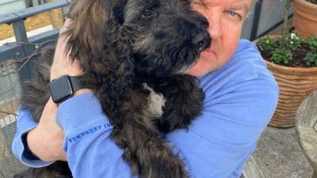 Some rip-off vets are selling UK’s pet-lovers out – after my lucky escape, what you must watch out for