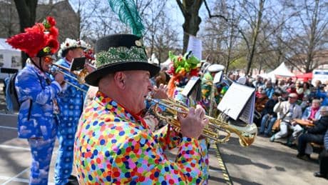 Traditionelles Tulpenfest: Mehr als 20.000 Besucher beim Potsdamer Tulpenfest