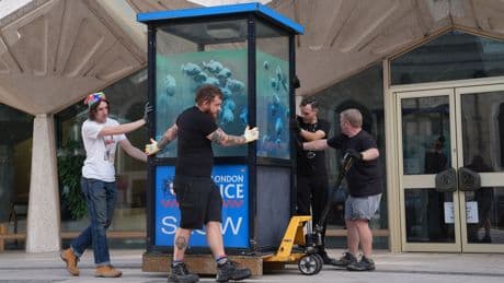 Banksy's piranhas police box put in protective storage ahead of museum display