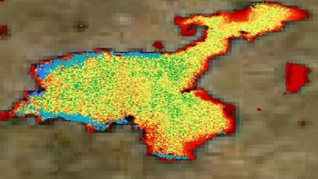 Van Gölü'nde ‘ötrofikasyon' tehlikesi; canlı yaşamı sona erebilir