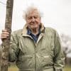 David Attenborough (99) over de keerzijde van z’n drukke job: “Ik zag m’n kinderen te weinig”