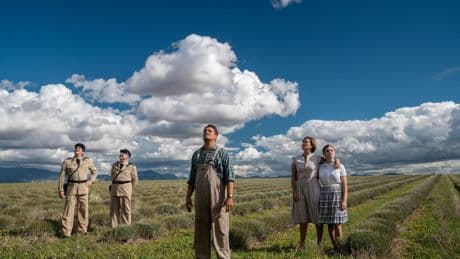 « Valensole 1965 », un ovni dans les champs de lavande
