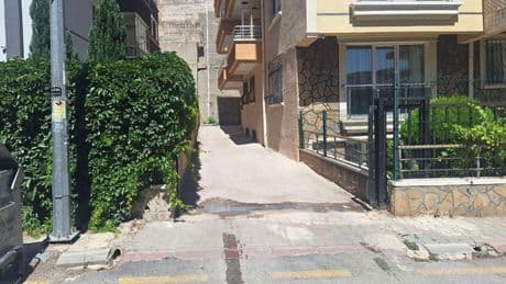 Ankara'da polis, sokak köpeğini tabancayla öldürdü