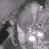 Moment woman brazenly 'steals' four solar lights from front garden while walking dog