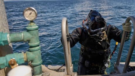 AP PHOTOS: How a Chinese delicacy got caught in the crossfire of Trump's trade war