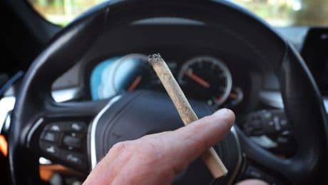 Verkehrsverstöße: Jeder zweite Cannabis-Eintrag in Flensburg kommt aus Bayern