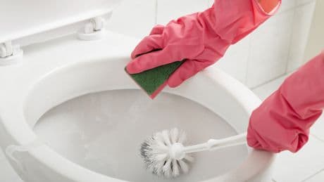Urinstein im WC effektiv entfernen: Diese drei Hausmittel wirken sofort