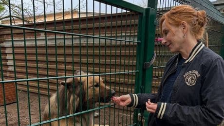 Schauspielerin hilft Tieren - Andrea Sawatzki rettet Hunde aus Tötungsstation