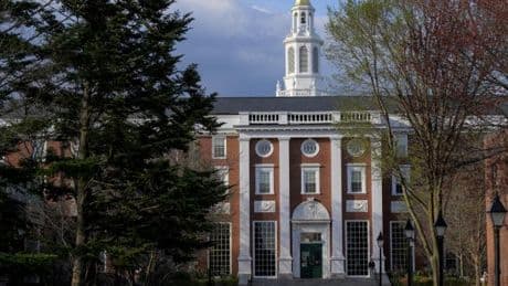 Keine ausländischen Studenten mehr in Harvard – Bär nennt Entwicklung „hochdramatisch“