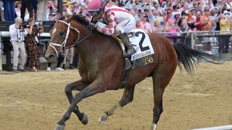 2025 Belmont Stakes odds, draw, and post positions: Journalism the favorite, just ahead of Sovereignty
