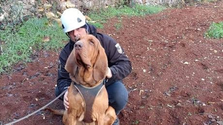 Geprezen speurhond Bruno op gruwelijke wijze vermoord in Italië: ’Alsof ik een broer verloor’