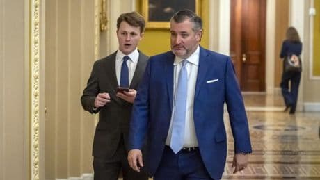 Senators battle it out over Trump, rule of law during first appeals court nominee's hearing