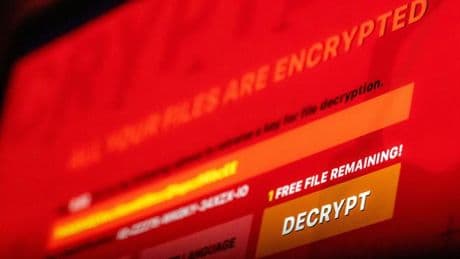 Kriminalität im Netz: Ermittler stoppen Erpresser-Software - fast 200 Opfer