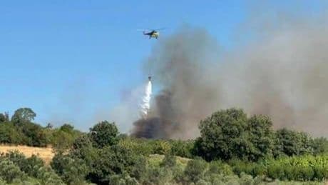 Son dakika... Çanakkale’de orman yangını! Havadan ve karadan müdahale başladı
