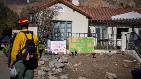 Letters to the Editor: A good watchdog may help Altadena residents deter burglars