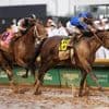 Junior Alvarado considering appeal of fine and suspension for excessive whip usage in Kentucky Derby
