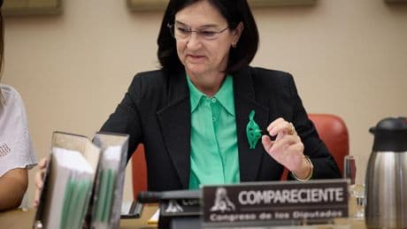 La presidenta de Competencia culpa a la UE del retraso para actualizar una norma "obsoleta" sobre renovables