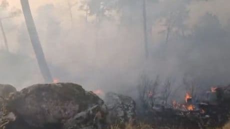 Al menos seis trenes afectados por la interrupción del tráfico por un incendio en San Bartolomé de Pinares (Ávila)