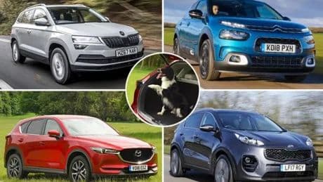 Best cars for dog owners: In the market for a used motor? Pick with your pooch in mind with models starting from £5K