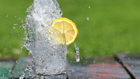 Las dos únicas bebidas sanas aparte del agua según la ciencia: esenciales durante el calor