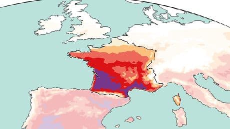 Canicule en France : comprendre la seconde vague de chaleur de l’été, en cartes et en graphiques