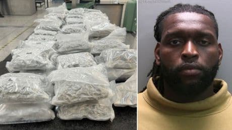 Ex-Arsenal prodigy jailed for four years over £600,000 cannabis smuggling plot