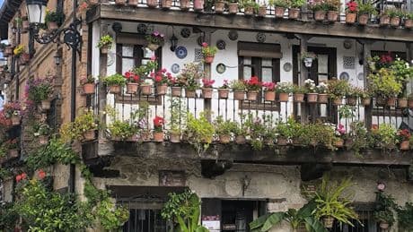 Una Ruta de Tapas por Gredos: la historia de un paisaje único contada desde el aperitivo