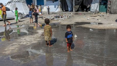 Gazze'de 15 Filistinli daha açlıktan öldü: "Her bebek, her çocuk risk altında"