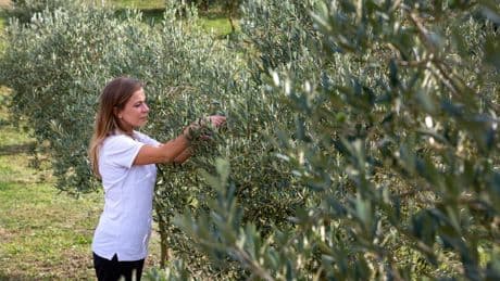 Reconocimiento a los emprendedores rurales que fusionan tradición y sostenibilidad