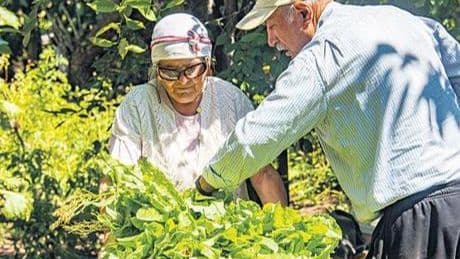 Çiftçiye 2024’te 584 milyar TL ‘sıfır faizli’ kredi