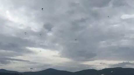 Skydiver dies after midair crash with other jumper in front of horrified festival crowd