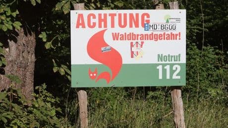 Brände: Feuerwehr löscht Großbrand bei Wittenberg - Lage angespannt