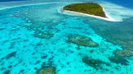En Australie, la Grande Barrière de corail enregistre le plus grand blanchissement de son histoire