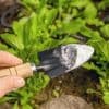 Le bicarbonate de soude, un produit efficace au jardin : voici comment l’utiliser