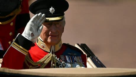 Crash du vol Air India 171: au Royaume-Uni, la parade d'anniversaire du roi rend hommage aux victimes
