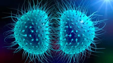 La vacuna de la meningitis, última esperanza para frenar el auge de casos de gonorrea: "Disminuirá la transmisión"