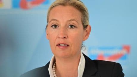Weidel fordert Verständnis für russische Position im Ukraine-Krieg