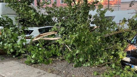 Tote, Verletzte in Berlin - Hat der Deutsche Wetterdienst den Sturm verpennt?