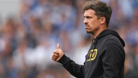 Verhandlungen auf der Zielgeraden - Nächster Neuzugang bei Dynamo wohl fix