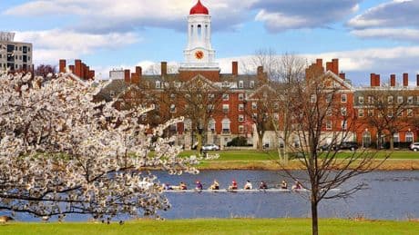 Harvard verso un’intesa con la Casa Bianca: sul tavolo fino a 500 milioni per chiudere il caso sulle proteste pro Gaza