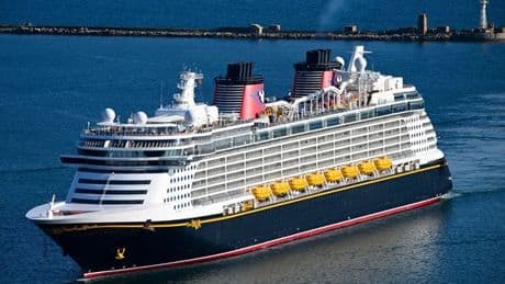 Mirror's Daily Digest - from survival kit warning to cruise ship horror